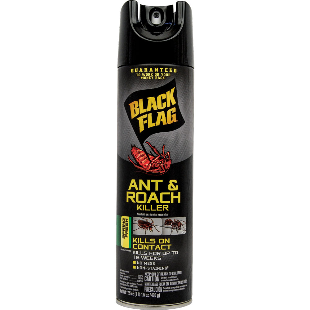 Insect Spray Diversion Safe